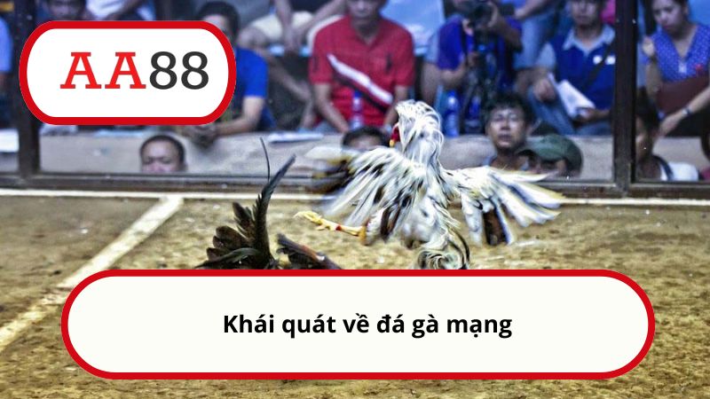 Khái quát về đá gà mạng
