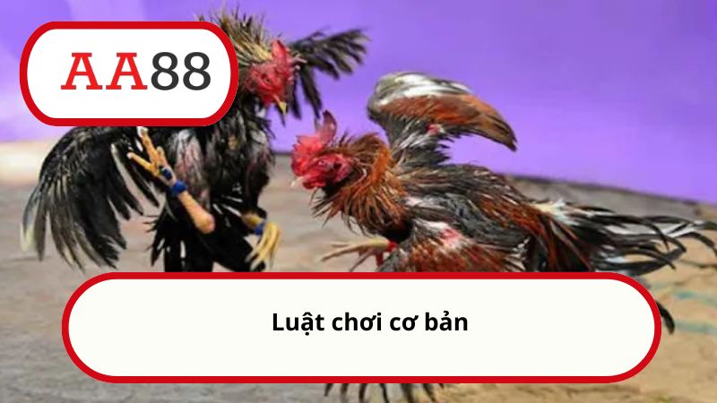 Luật chơi cơ bản