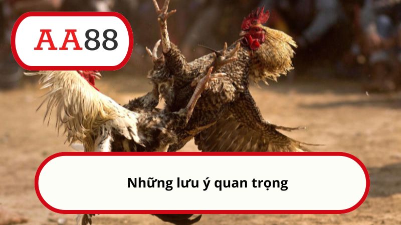 Những lưu ý quan trọng